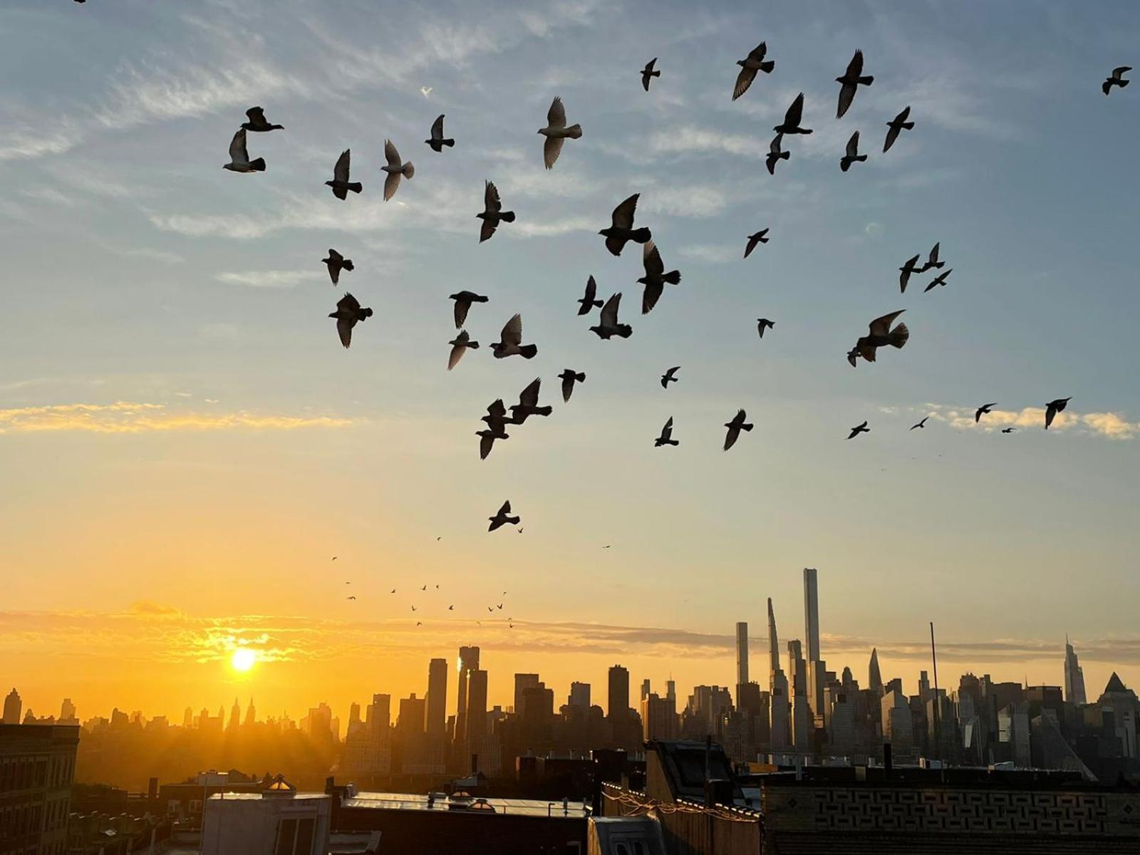 Ny Skyline One Of A Kind View Apartment Union City Exterior photo